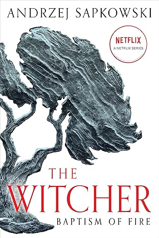 Baptism of Fire (The Witcher, 5) - Andrzej Sapkowski